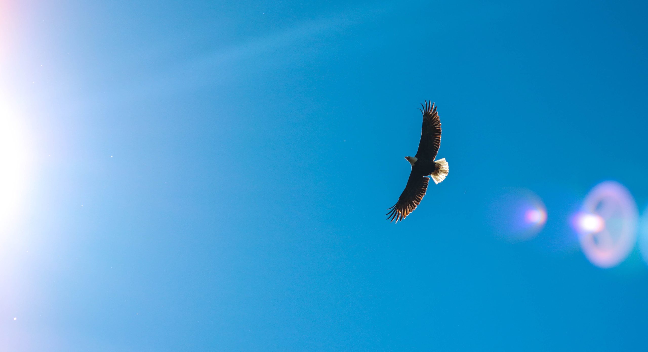 rachel-mcdermott-D17j_v2EDb0-unsplash